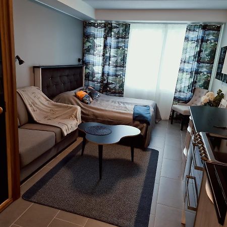 Levibooking Lost In Levi Apt 101 ซีร์กกา ภายนอก รูปภาพ